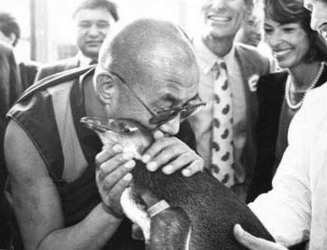 Dalai Lama