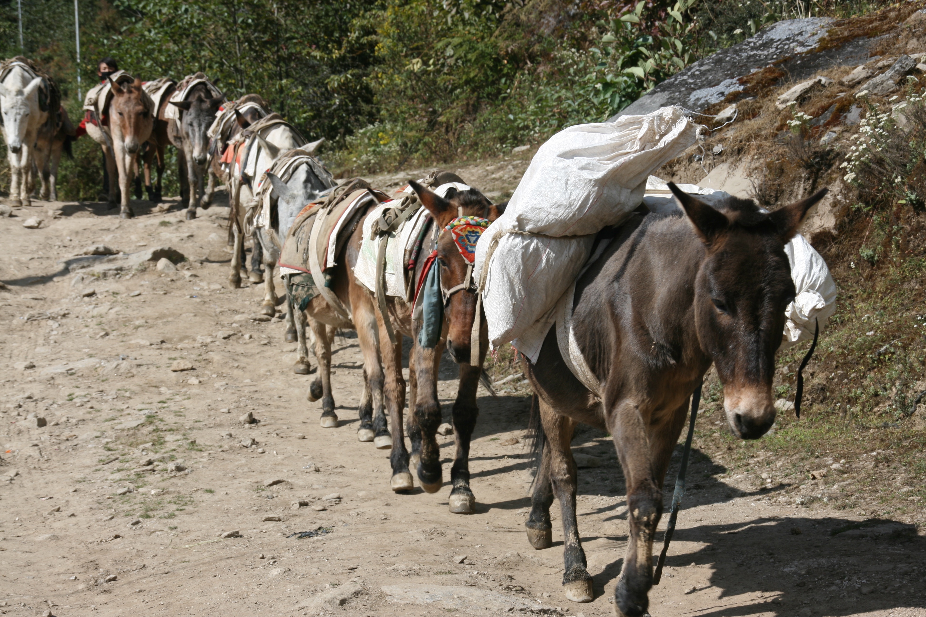 Solukhumbu-Nepal